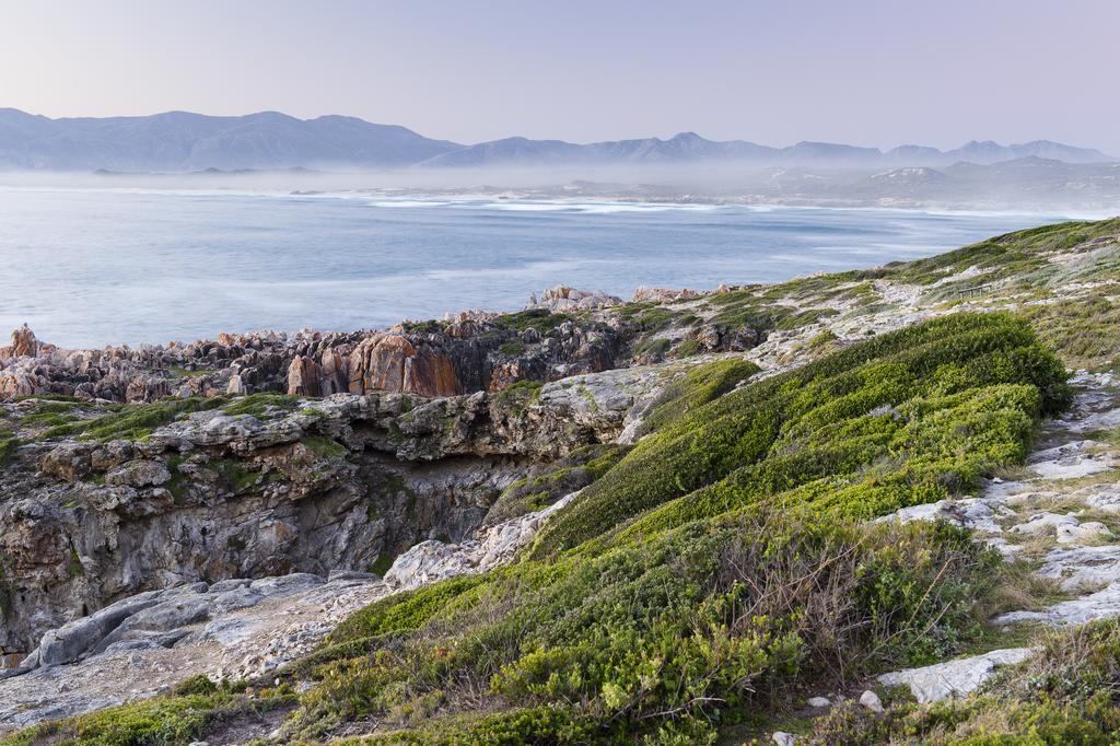 Whalesong Lodge Gansbaai Zewnętrze zdjęcie