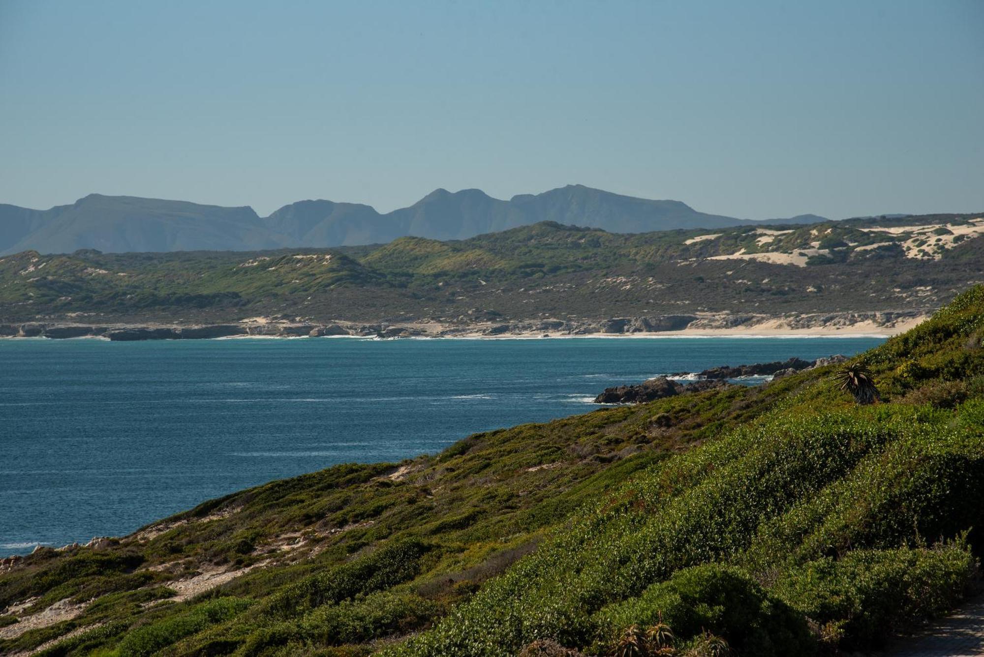 Whalesong Lodge Gansbaai Zewnętrze zdjęcie