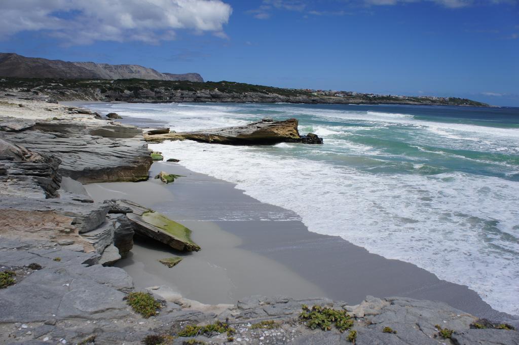 Whalesong Lodge Gansbaai Zewnętrze zdjęcie