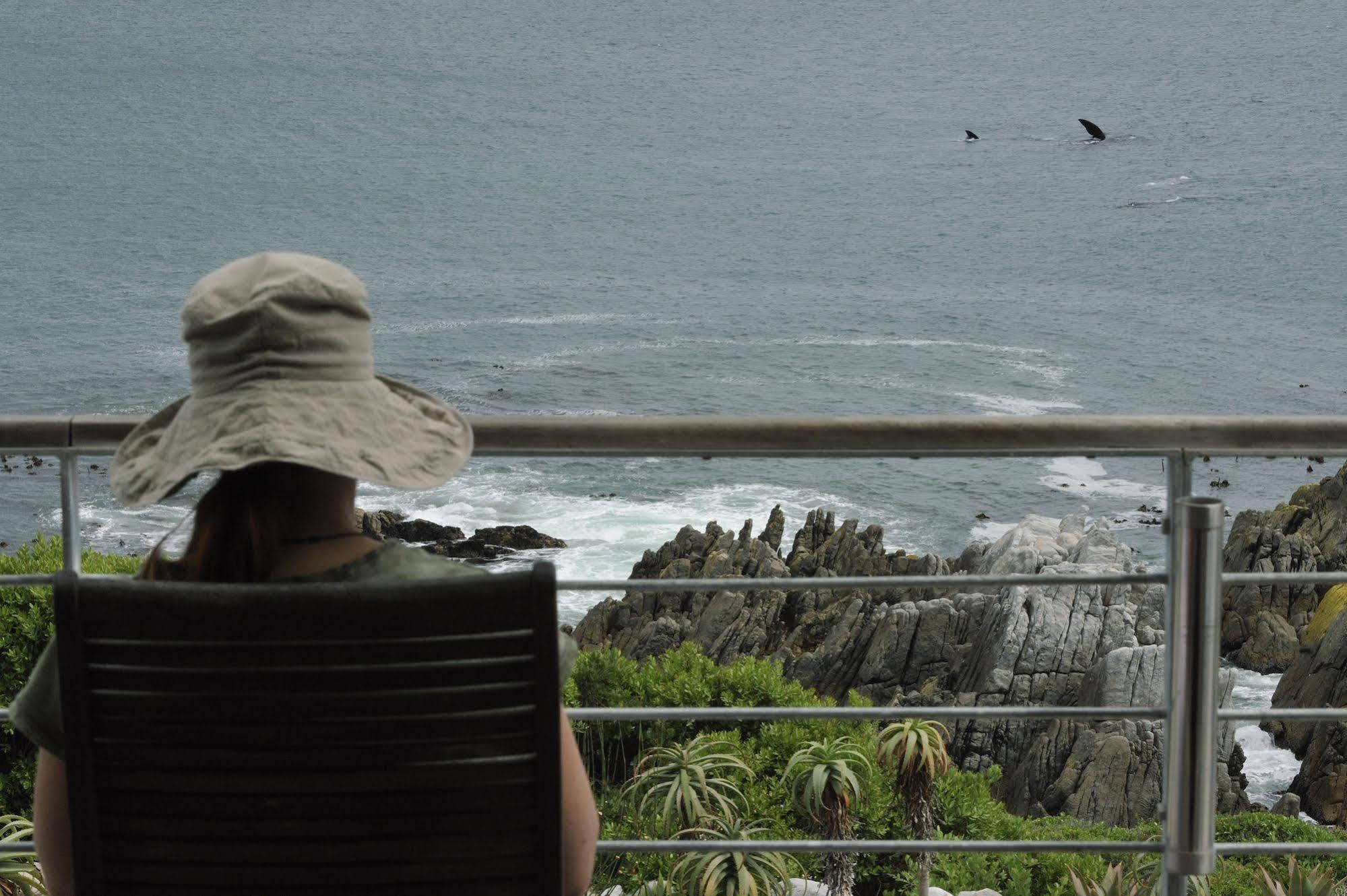 Whalesong Lodge Gansbaai Zewnętrze zdjęcie